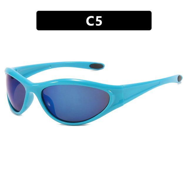 Sunglasses / Transparent Plain