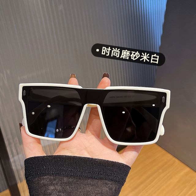 One Sunglasses Piece