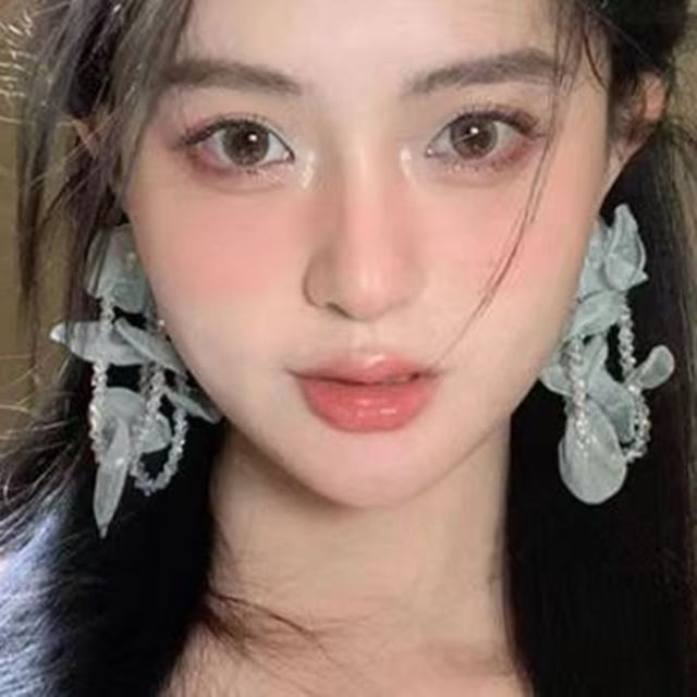 Drop Earring Mesh Beaded