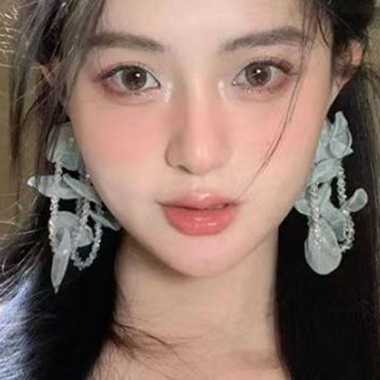 Drop Earring Mesh Beaded