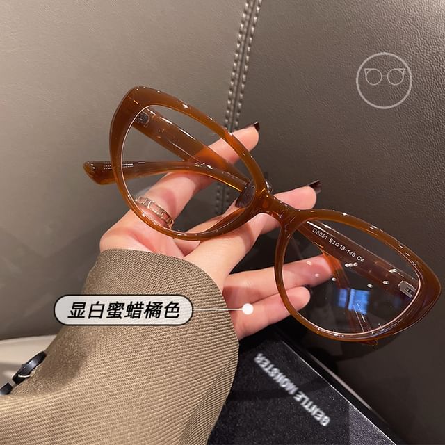 Light Eye Blue Glasses Blocking Cat