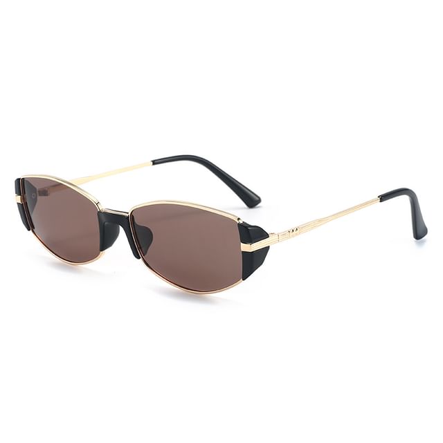Metal Sunglasses Panel