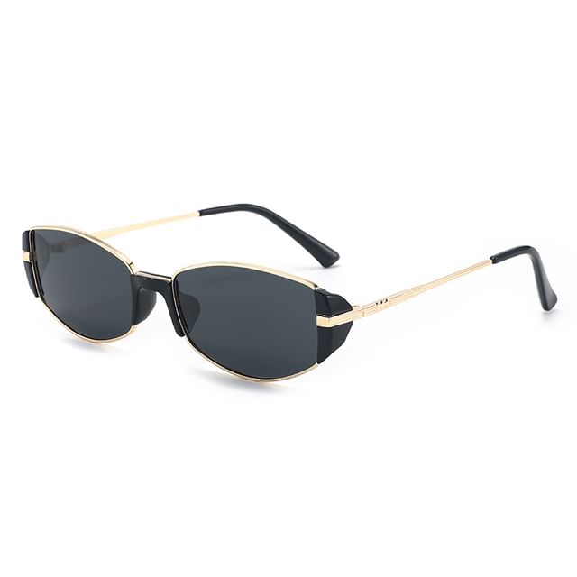 Metal Sunglasses Panel
