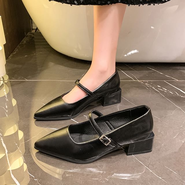 Jane Shoes Heel Mary Pointy Chunky