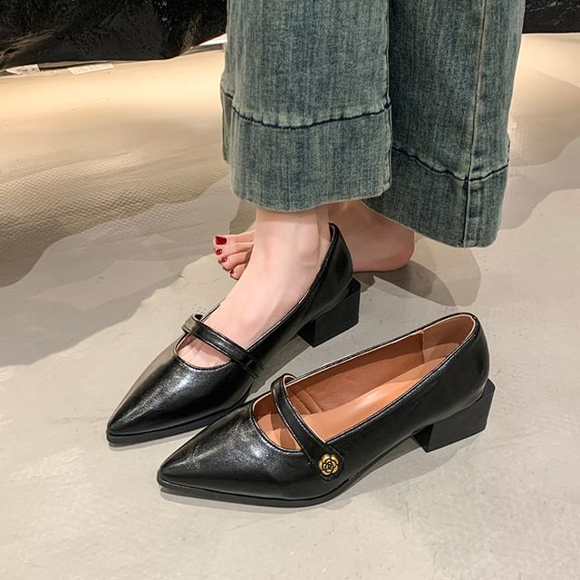 Chunky Mary Pointy Heel Shoes Jane