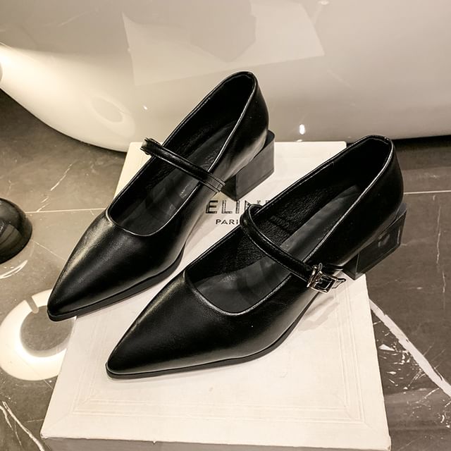 Jane Shoes Heel Mary Pointy Chunky