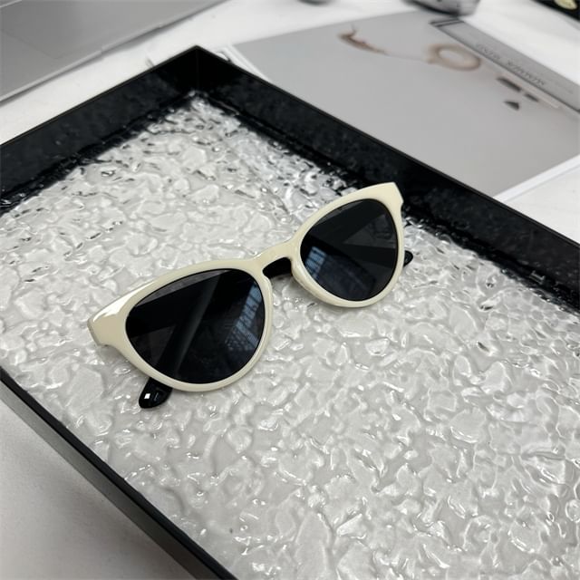 Eye Plain Cat Sunglasses