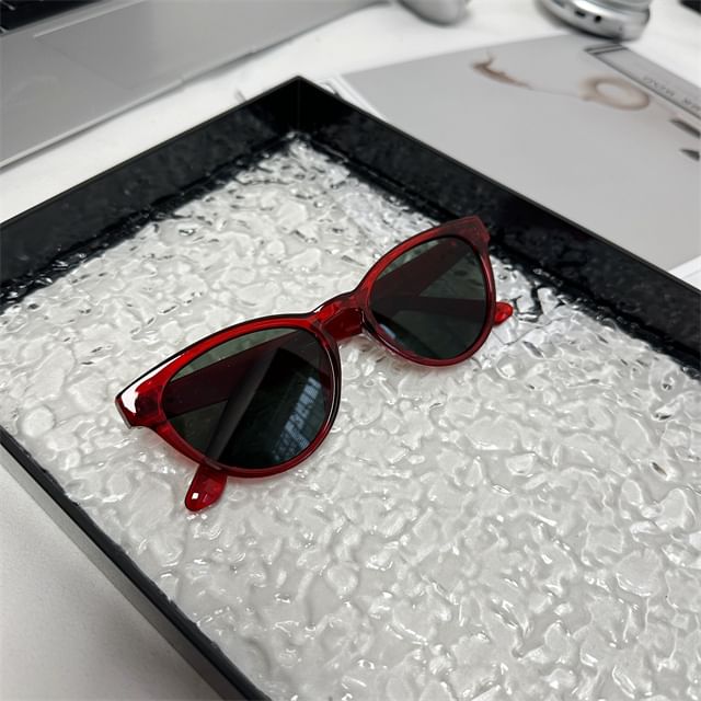Eye Plain Cat Sunglasses
