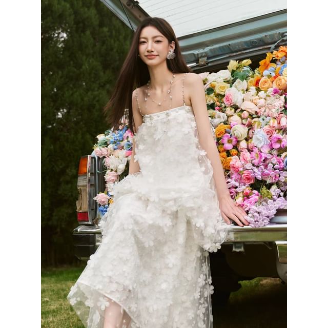 A-Line Sleeveless Sheer Evening Gown