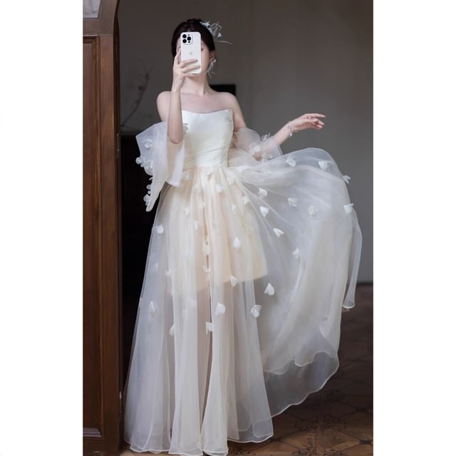 Overlay Sheer Evening Strapless Gown A-Line