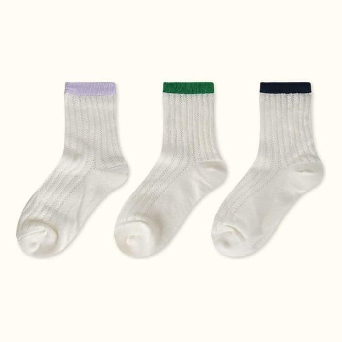 Contrast Trim Pointelle Knit Socks / Set - Type 03 - of 3