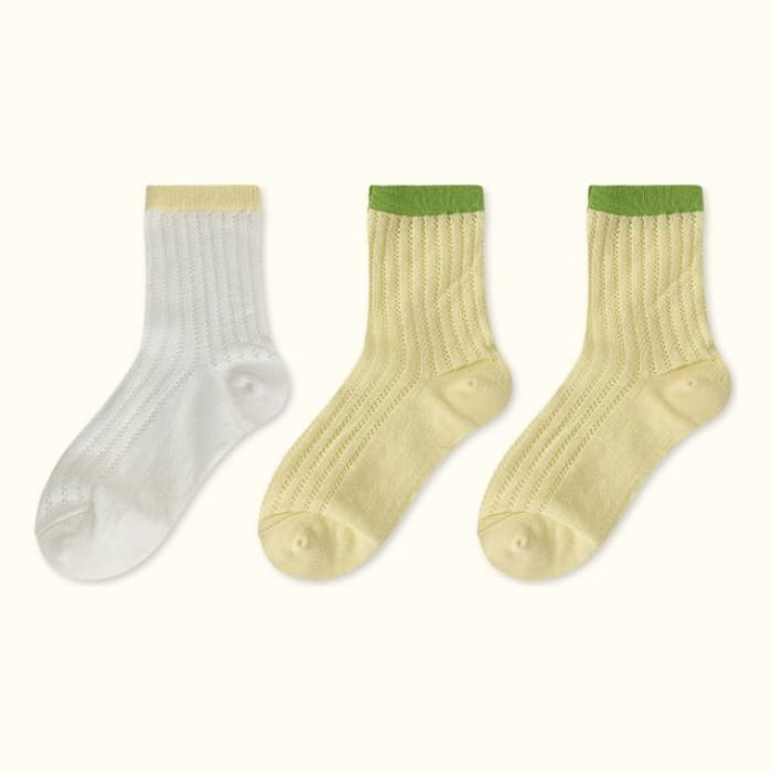 Contrast Trim Pointelle Knit Socks / Set - Type 05 - of 3