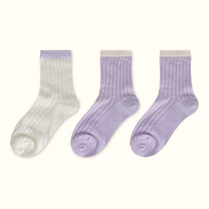 Contrast Trim Pointelle Knit Socks / Set - Type 06 - of 3