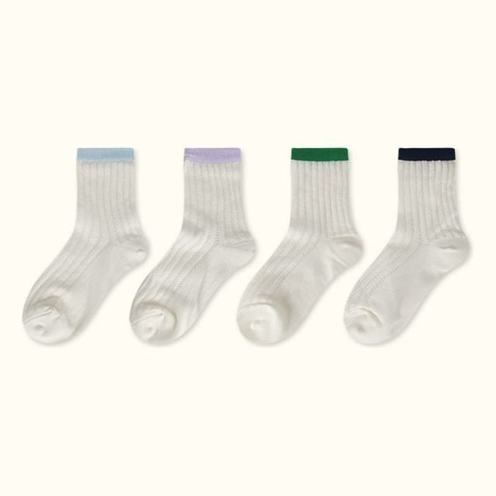 Contrast Trim Pointelle Knit Socks / Set - Type 08 - of 4