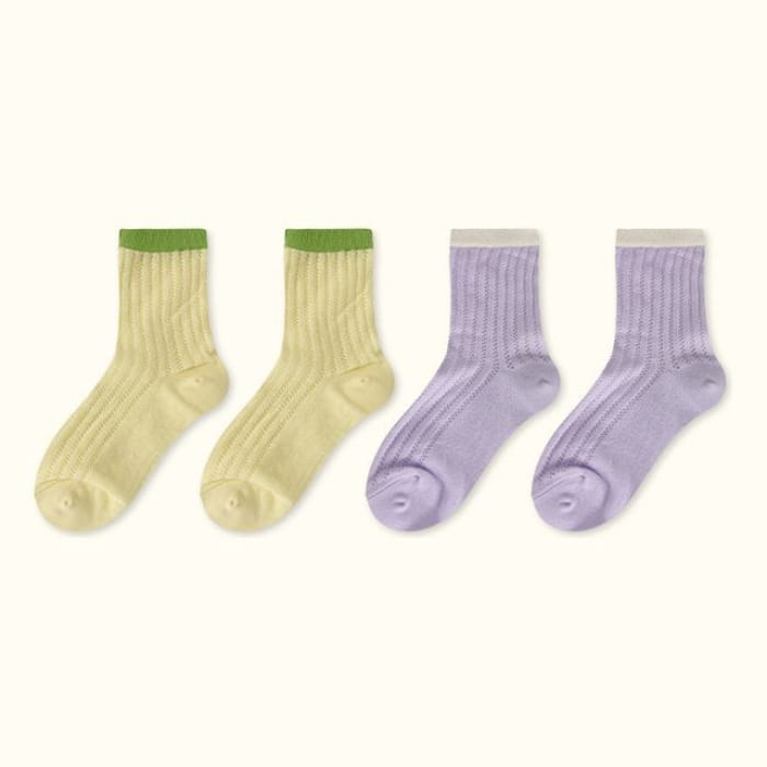 Contrast Trim Pointelle Knit Socks / Set - Type 11 - of 4