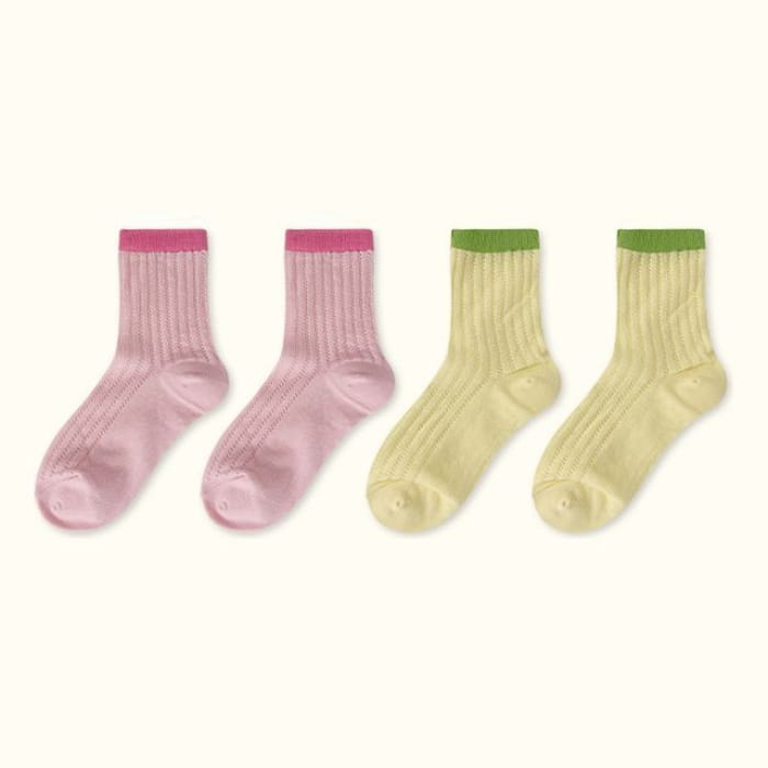 Contrast Trim Pointelle Knit Socks / Set - Type 12 - of 4