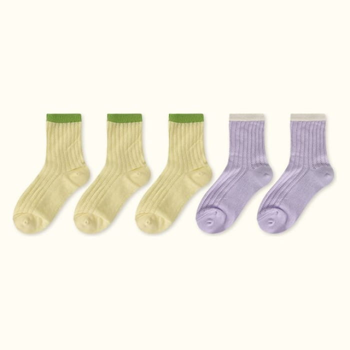 Contrast Trim Pointelle Knit Socks / Set - Type 16 - of 5