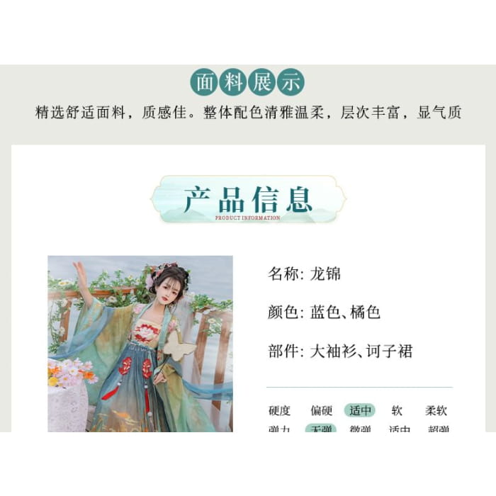 Set: Floral Embroidered Hanfu Maxi Dress + Long Light