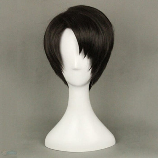 Attack on Titan Levy levi ackerman Cosplay Wigs Boys and 