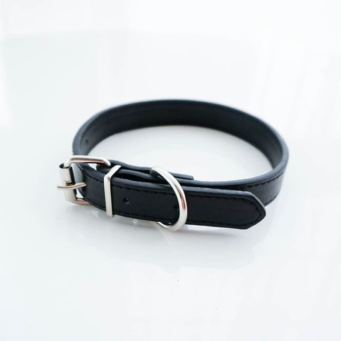 Faux Leather Buckled Choker YC1110 - Neck Fashion 