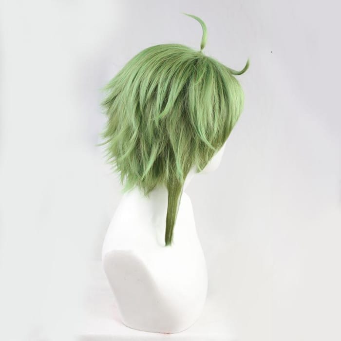 Mushoku Tensei Sylphiette Greyrat Cosplay Wig CC0113 - Cospicky