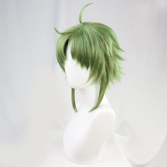 Mushoku Tensei Sylphiette Greyrat Cosplay Wig CC0113 - Cospicky