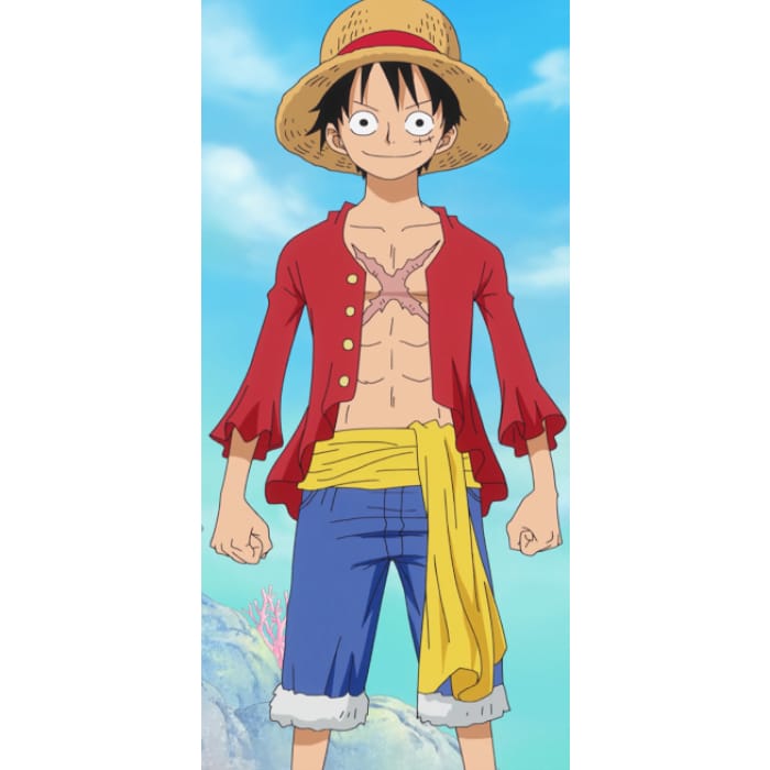 One Piece Monkey D. Luffy Cosplay Outfit CP166633 - Cospicky