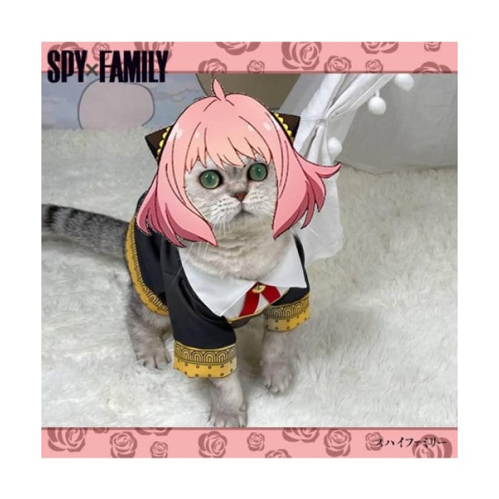 Spy Family Forger Anya Cat Cosplay Costume Sf12 - 1000