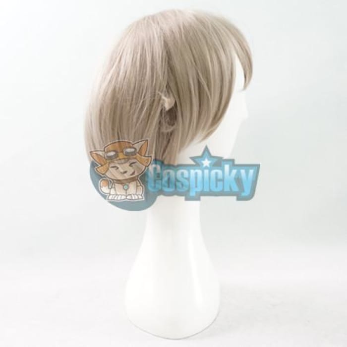 Touken Ranbu - Hotarumaru Cosplay Wig CP153052 - Cospicky